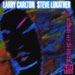 Larry Carlton & Steven Lukather - No Substitutions