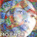 Terri Lyne Carrington - Mosaic Project 輸入盤