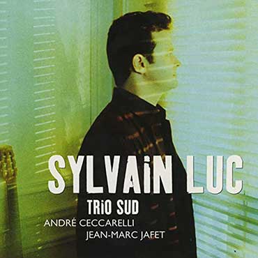 Sylvain Luc - Trio Sud
