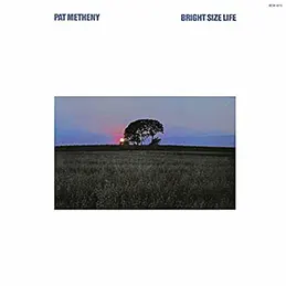 Pat Metheny - Bright Size Life