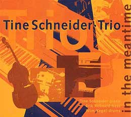 Tine Schneider - In The Meantime