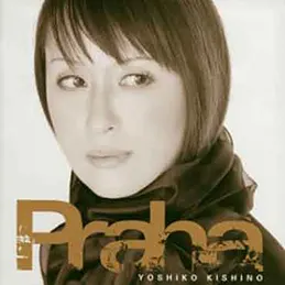 �؏Z����q - �v���n