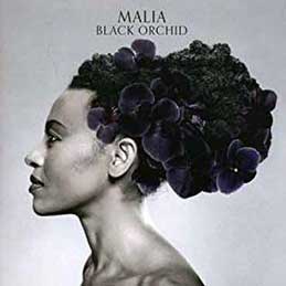 Malia - Black Orchid